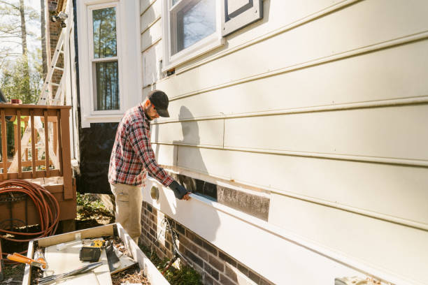 Top rated local Emergency Siding Repair specialists in Alexandria, MN